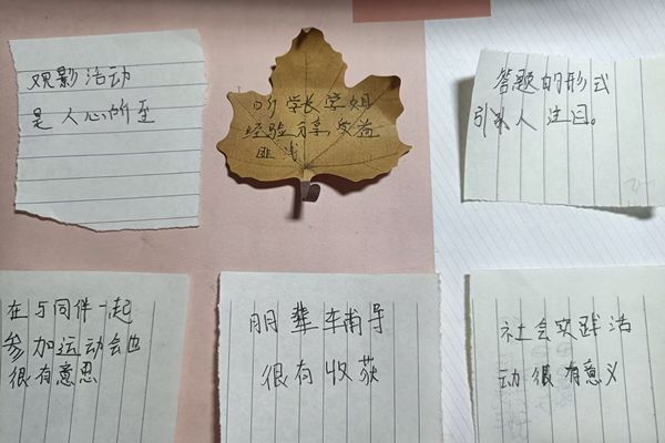 图一探花系列
志愿者整理出来的部分活动信息.jpg