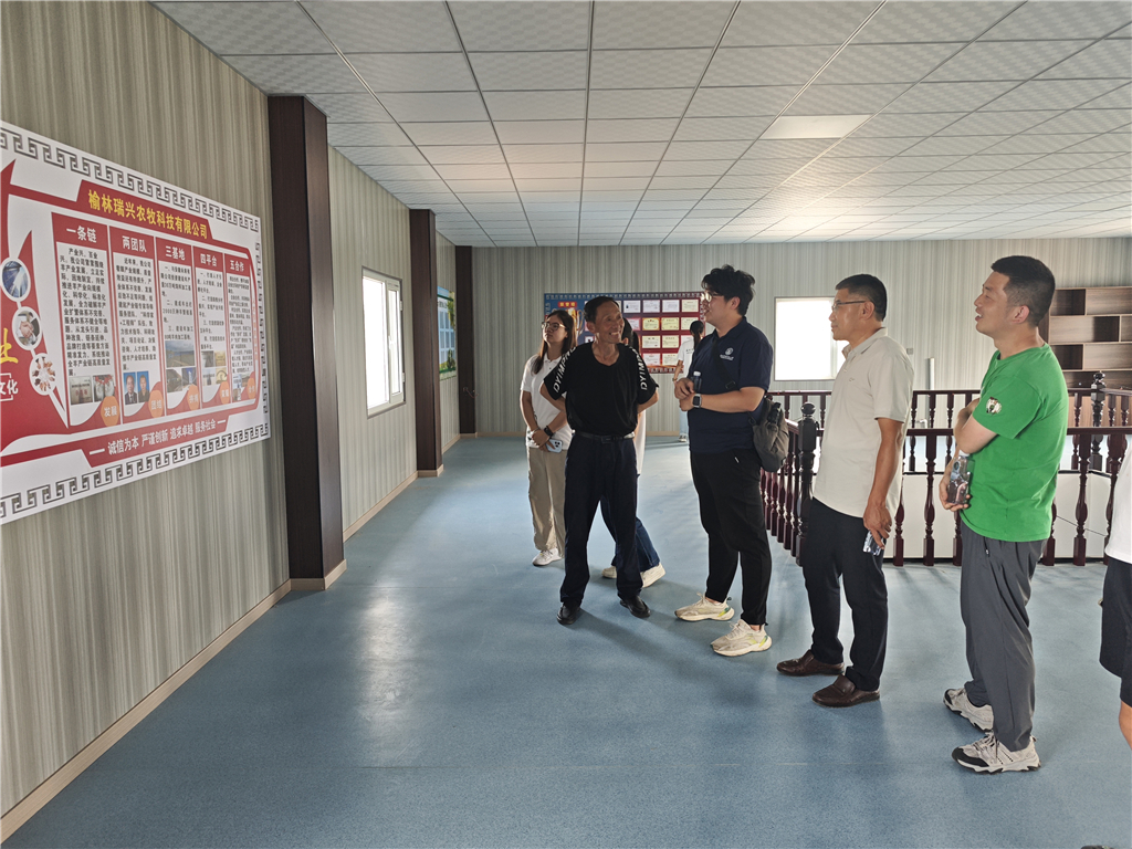 图片一 薛春帧场长讲解场区白绒山羊的的培育和养殖情况.jpg