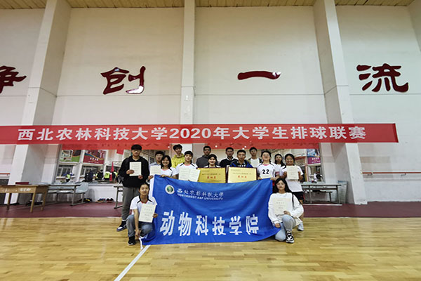 29aebdafa4ab48208c40f637c6a0685c.jpg 排球队员合影.jpg