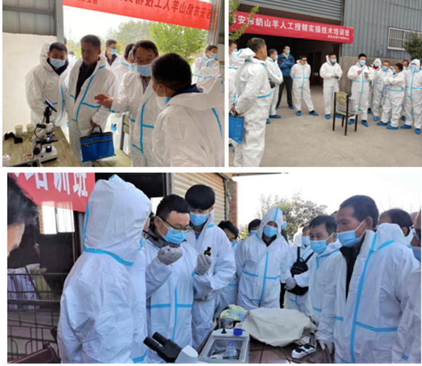 18df56b46ddb4150b273d2cdc28cb608.png QQ图片20201104174152_副本.png