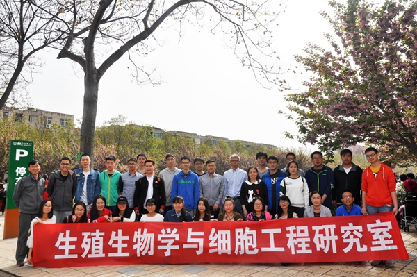 14ec538c9ee8469bb46ce8370e3118cc.jpg DSC_0114.jpg