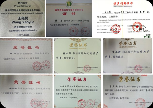 5577cce4504d41d1a7313329a70158de.png 图片5.png