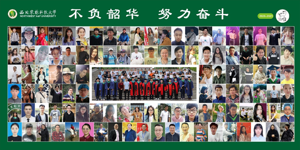 fb82d347f092431084e494391d4d25d0.png 图片1.png