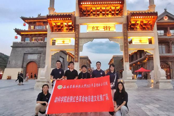 2384d95e03cd40ed8a48da0ec17e2ad7.png 图片17.png