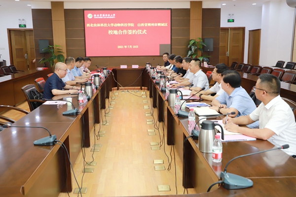 74faba31cf384292bc22522e5bc0582b.jpg IMG_0405.JPG