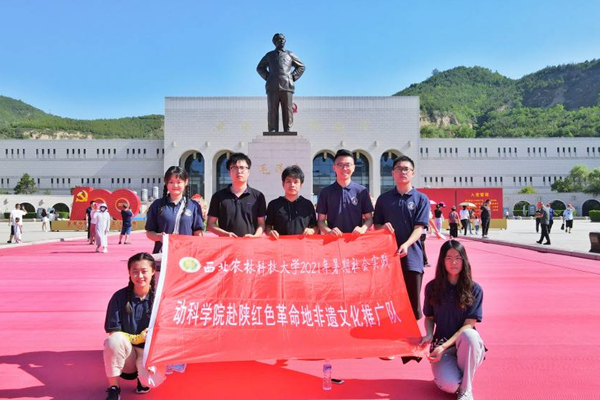 d209355416bd4aee906baffdd77b3d64.png 图片12.png