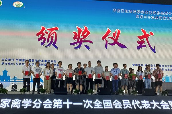 1eb93aea7e684ed0b267e62be4721412.jpg 团队成员获奖.jpg