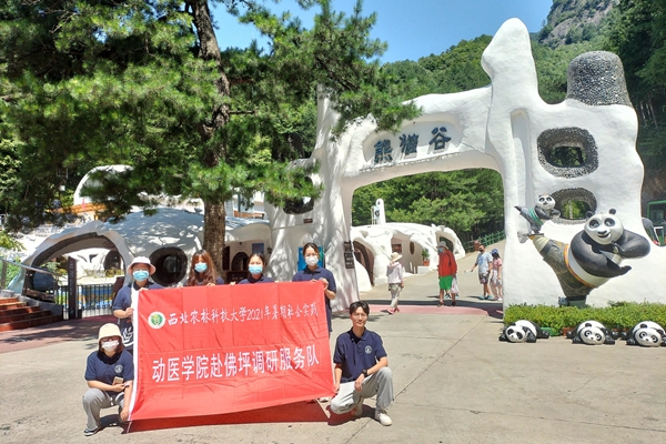 5a20f16a6cc542b18b730e8160bb2ec4.jpeg 队员在熊猫谷开展调研活动.jpeg