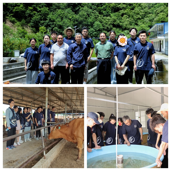 3e234e5e920545beb727dff81de83357.jpg NeoImage_副本_副本_副本1.jpg