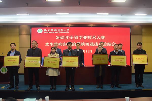 44413457b1c54125a81c41b1faaa8929.jpg 优秀组织奖获得队伍.JPG