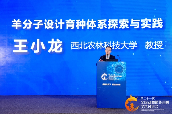 656f4f7ab14e44ee904ebbea8cced6f2.jpg 王小龙老师做汇报_副本.jpg