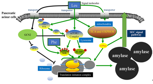 9779bdf39f074dba9c4e0dcdcc6c46d1.png QQ图片20211008105013_副本.png