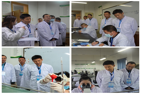 f99c3a538a324848a76539b34e8de367.jpg 光影魔术手拼图.jpg