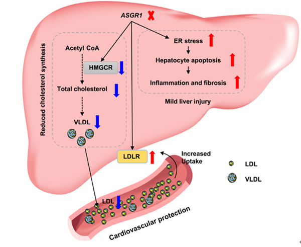f6feb73cc39a458d8f50b89c0bd3405b.png QQ图片20211115112217_副本.png