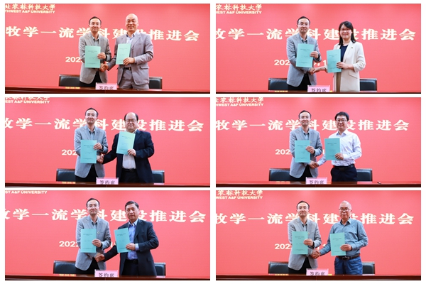 2830c6339a5d4158841e45649a310c76.jpg NeoImage_副本_副本.jpg