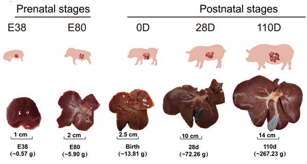 4ceed898c2d145ddb0469acea56905e9.png QQ图片20220620145526_副本.png