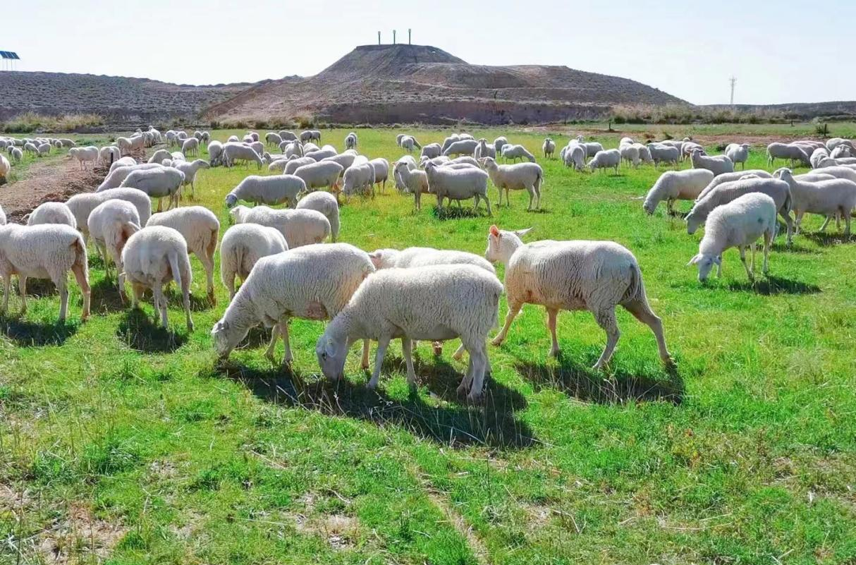 50495444374e4169b76326720f473a91.png 50495444374e4169b76326720f473a91.png