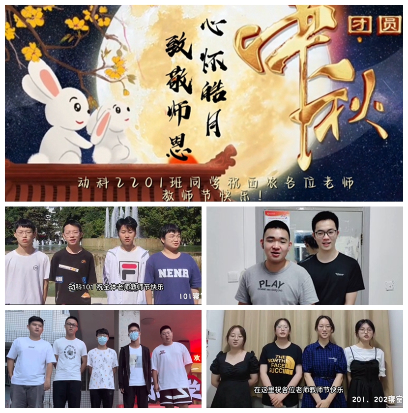 9082fdf4505a4840acaf872c014f3ada.jpg 光影魔术手拼图.jpg