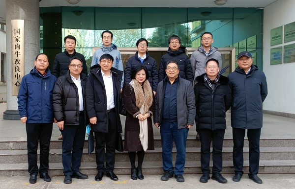 fbbc817716634a41bd2549a0681e88f2.jpg 肉牛中心合影.jpg