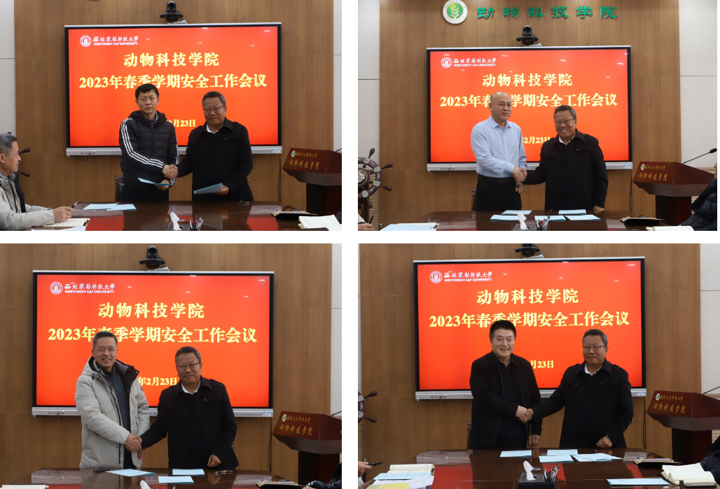 57e049bbd78f4736bad24e14045bff05.png 57e049bbd78f4736bad24e14045bff05.png