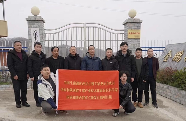 99c73d8a4efb4610b19c69bf50cdb663.jpg 5.jpg