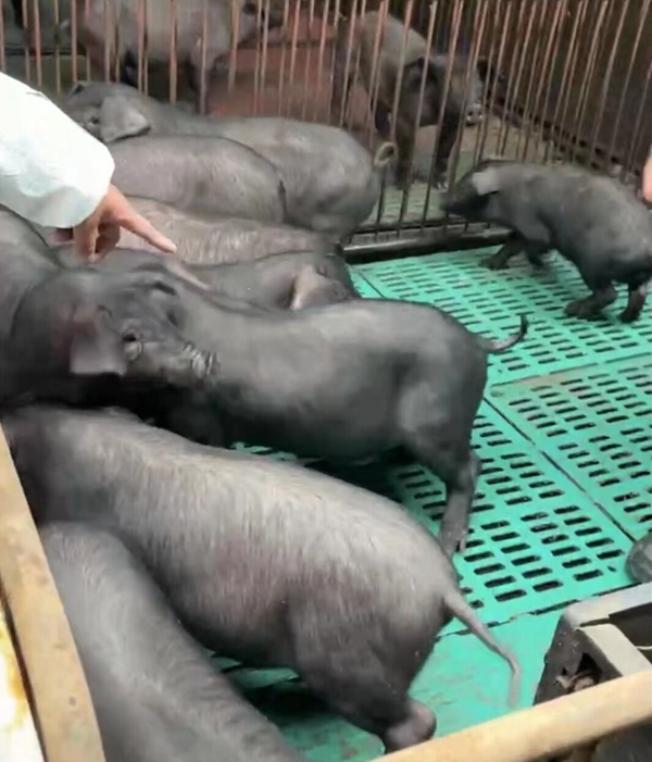 c68ec215dc464da5a74a12024a15f497.jpg 8.jpg