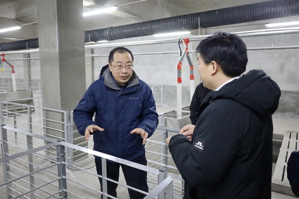 d256726cc35a4e8caa776b5093454300.jpg 1.jpg