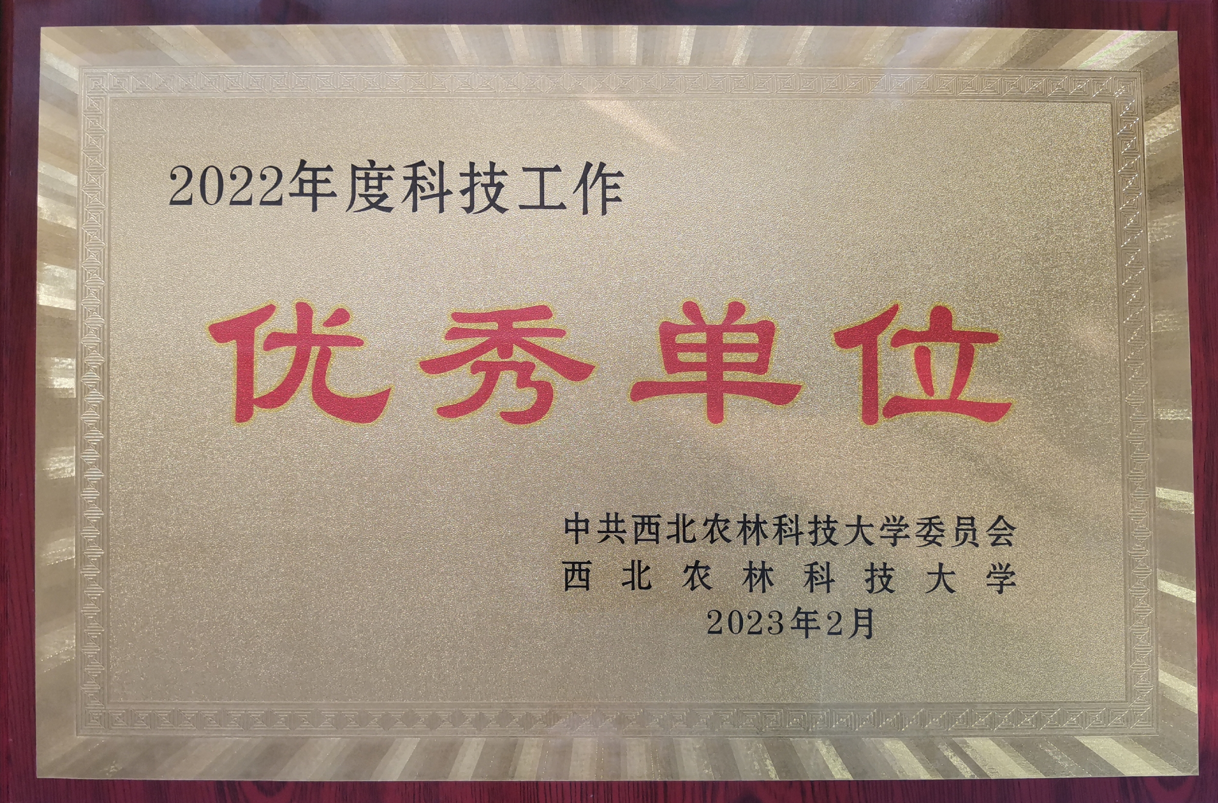 ec6f9e1cef3849ebab52ab2e69644f05.jpg ec6f9e1cef3849ebab52ab2e69644f05.jpg