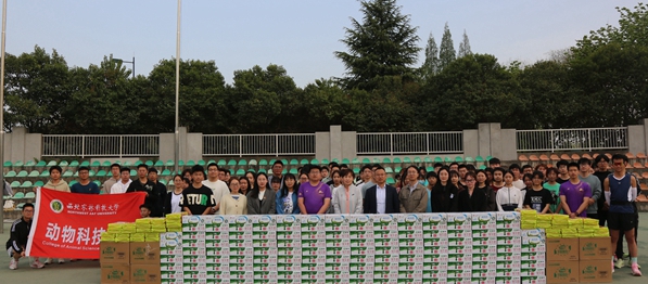 d2d1c117736148c18a5a3e092eb69c49.jpg ceed787fcf2f484bba6594217c1bdfd5.jpg