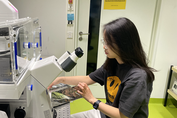 195b3f40f1ba4818a07dd68c57a2f204.png 195b3f40f1ba4818a07dd68c57a2f204.png