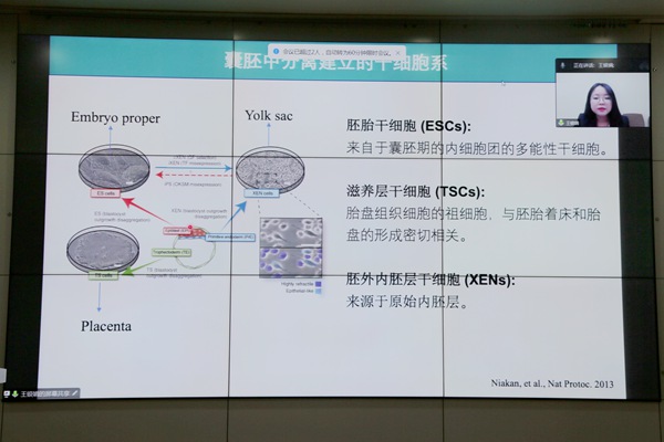 383d1c95b7704a4bb86055883d68516c.jpg 2.jpg