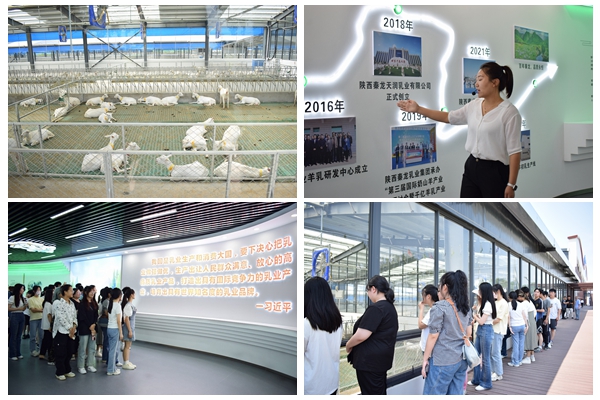 77904eae51b54a429348f34a92c59073.jpg 光影魔术手拼图1.jpg