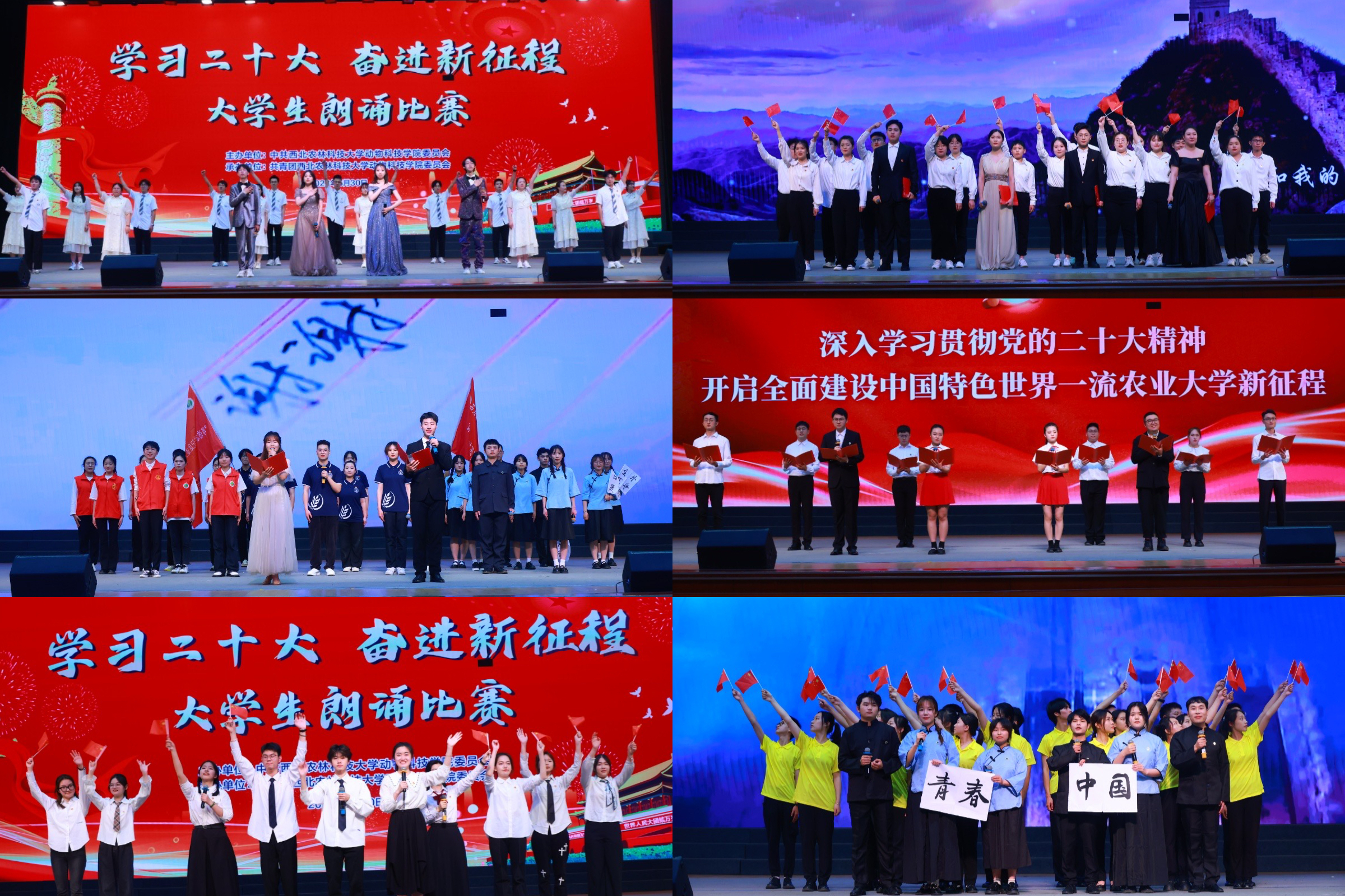 精彩瞬间.jpg 精彩瞬间.jpg