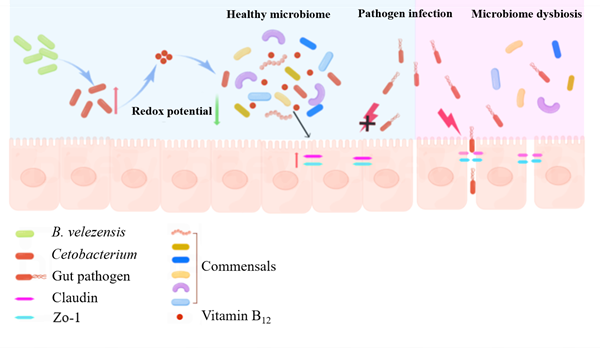 dd081dedb141407a9046e91cb0f64f64.png 图片_副本.png
