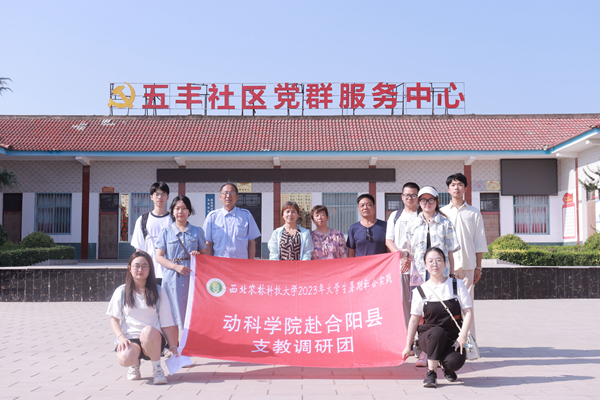 03e6943bb6a74dff9a2e8bb2ba8dadb1.jpg 01.jpg