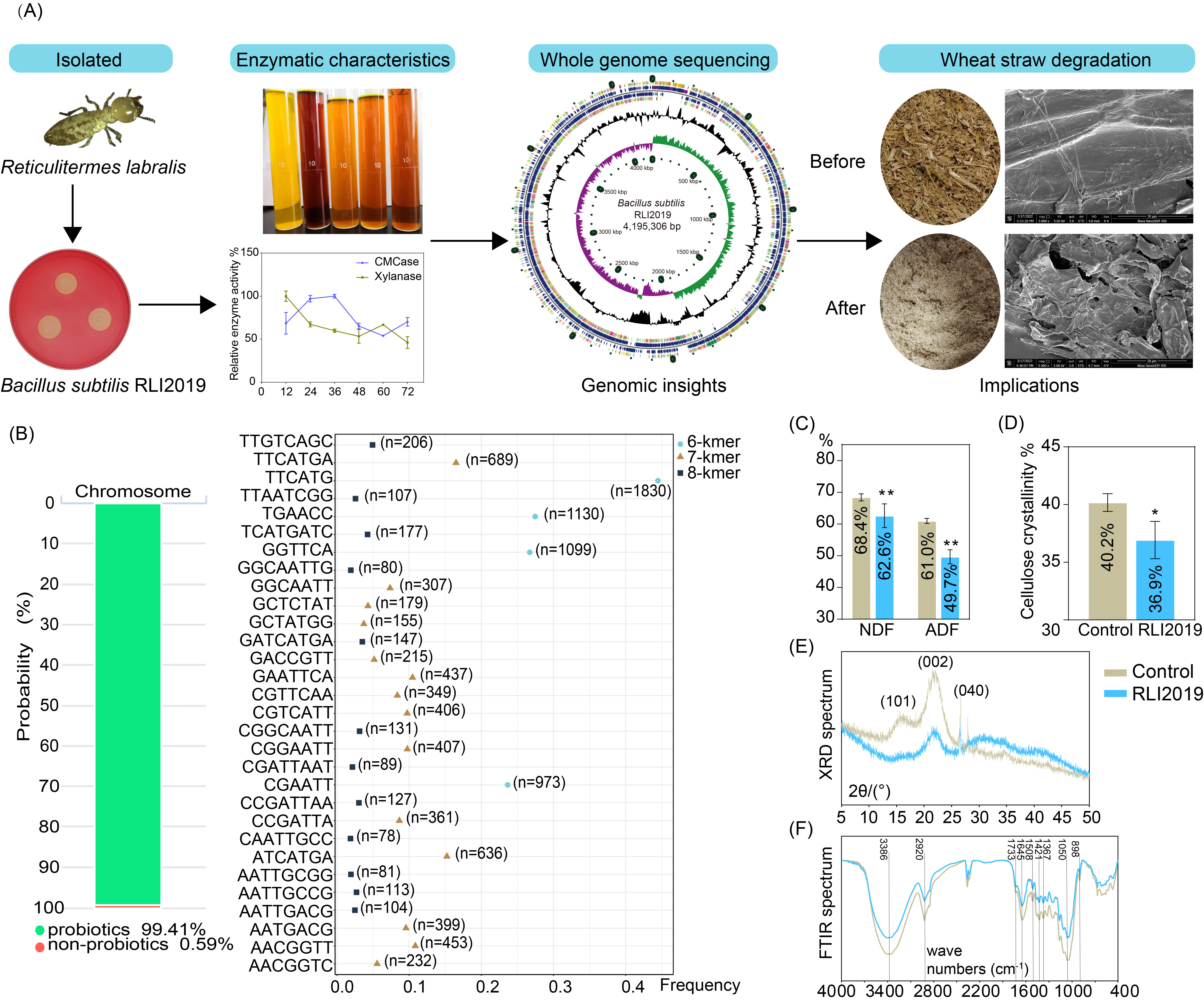 9f342391fd43445eb82d3221c6a4ed08.png 9f342391fd43445eb82d3221c6a4ed08.png