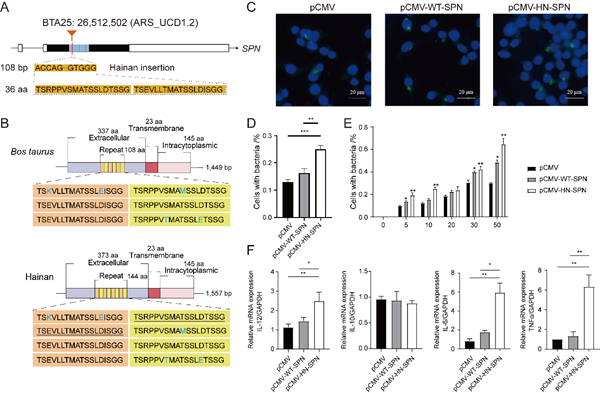 09d79636ea7b4049bd0fe384cc882729.png 图片2_副本.png