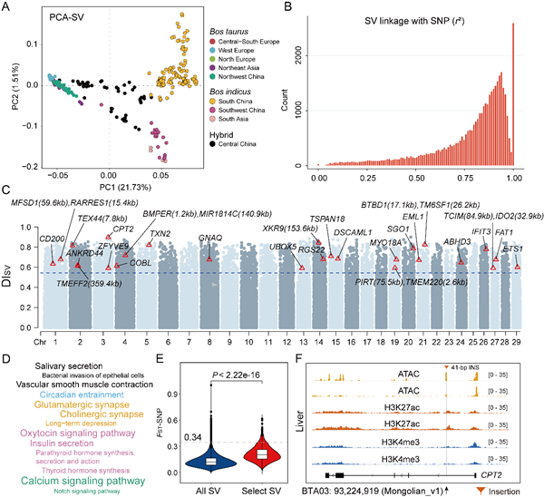 ab2fbf0a17e447c2826aa8789e3bd3d0.png 图片3_副本.png