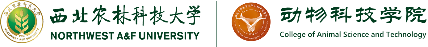 探花系列
