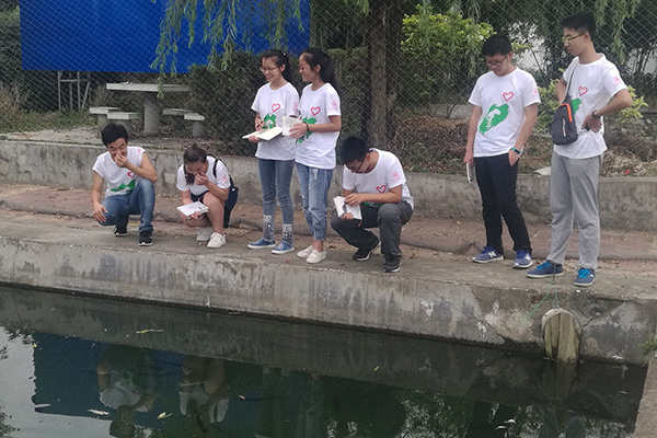 观察匙吻鲟翻身吃食